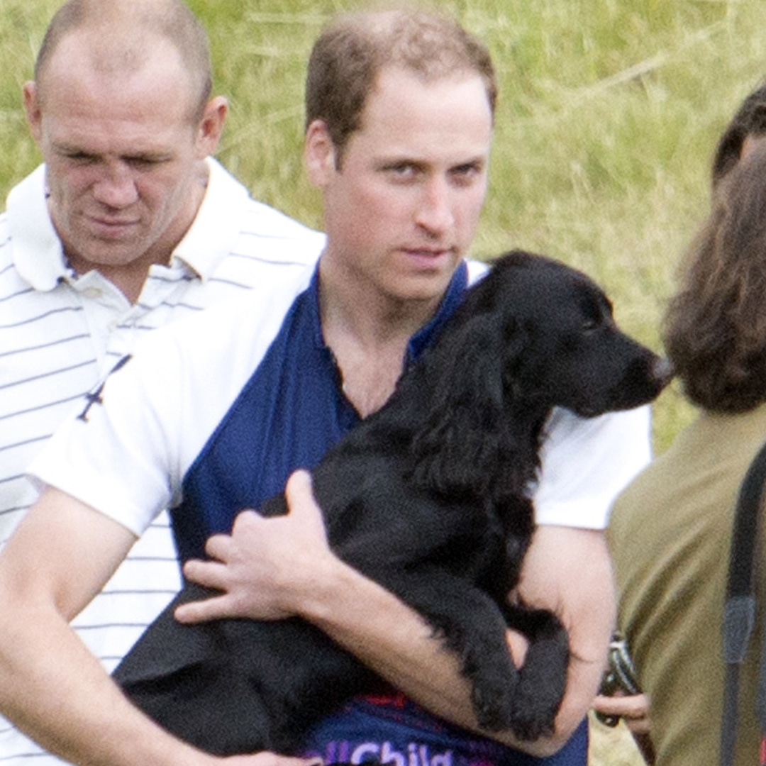 Kate Middleton and Prince William’s new puppy will melt your heart